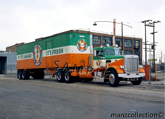 8x10 color semi-truck photo 1970's Widenose Peterbilt MAGGIO - Transportation Treasure