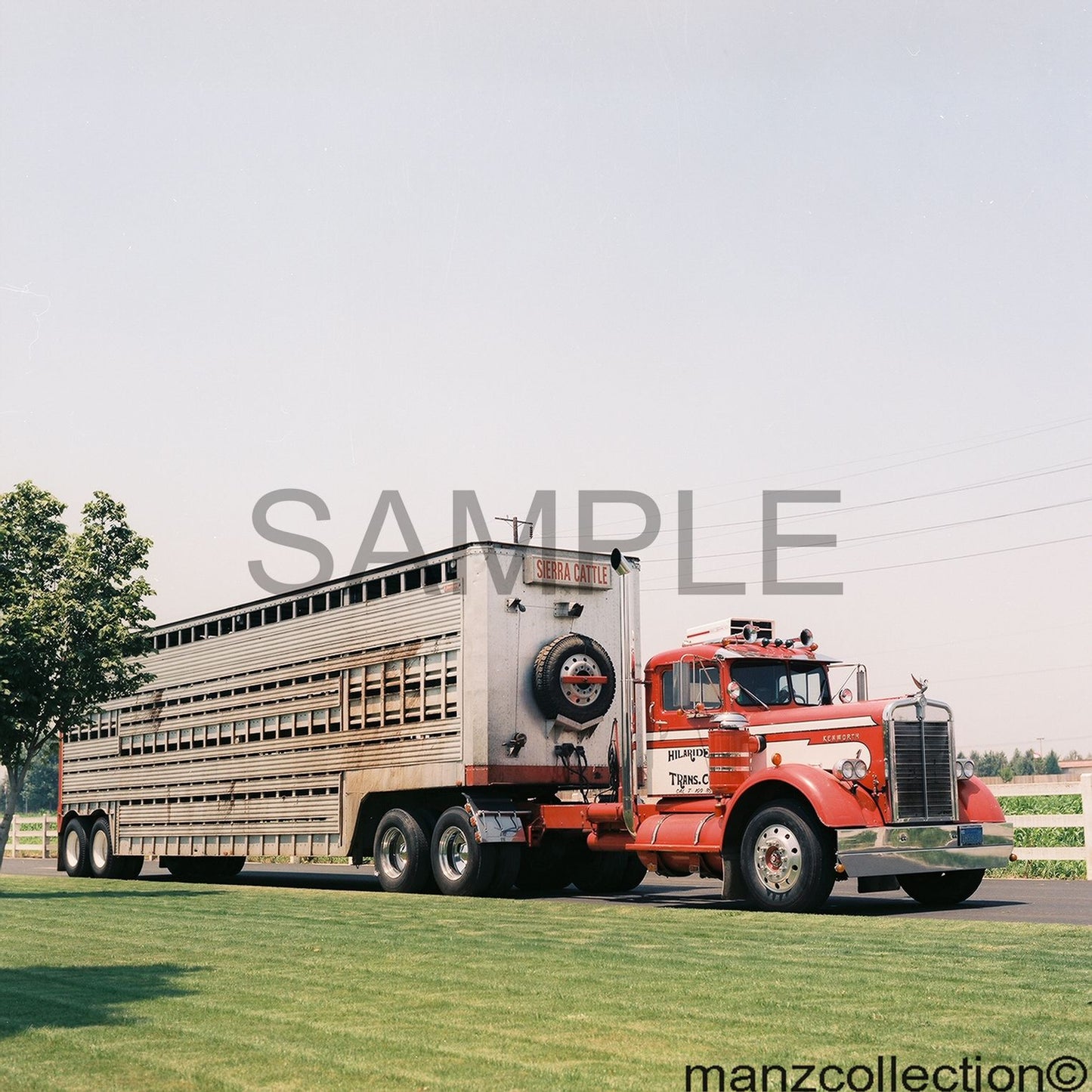 8 X 10 color semi-truck photo '50's KW cattle hauler - Transportation Treasure