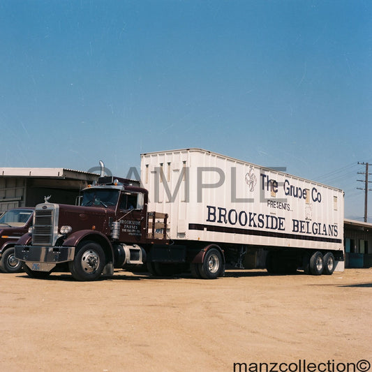 8x10 color semi-truck photo '60's Peterbilt BROOKSIDE FARMS - Transportation Treasure