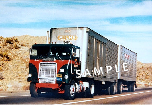 8X10 semi-truck photo White Freightliner MILNE TRUCK LINES - Transportation Treasure